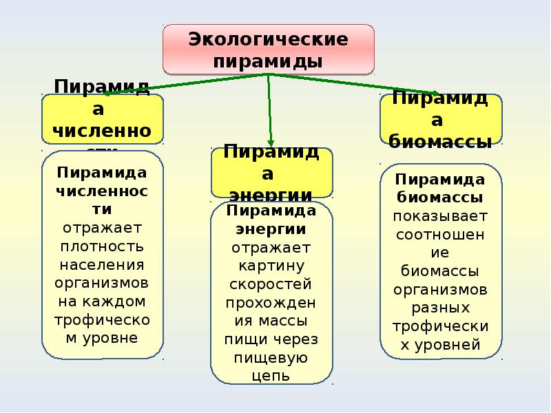 Экологические термины. Экологические факторы делятся на. Экологический фактор производства. Экологический фактор страны. Экологический фактор размещения примеры.