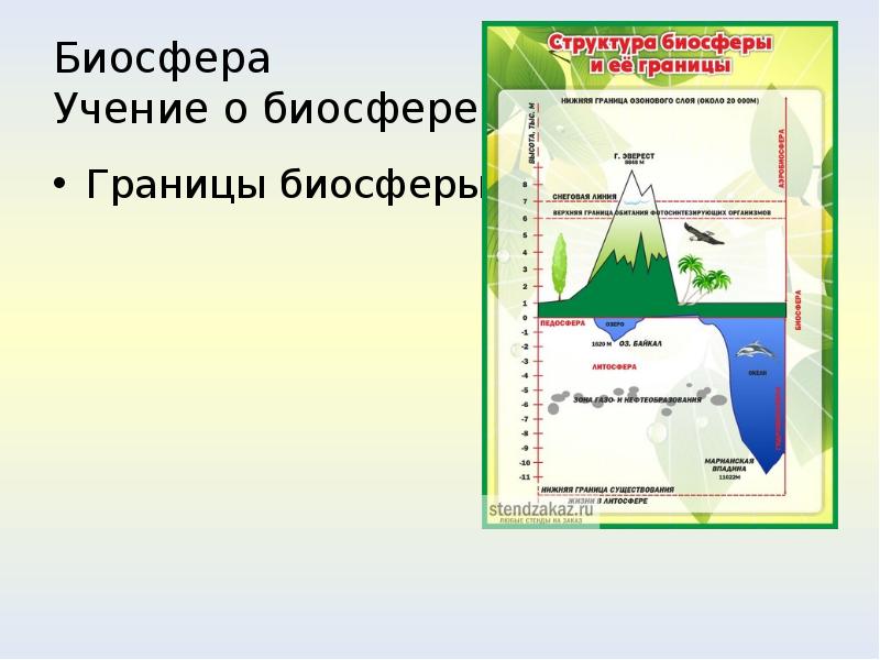 Карта осадков красная яруга