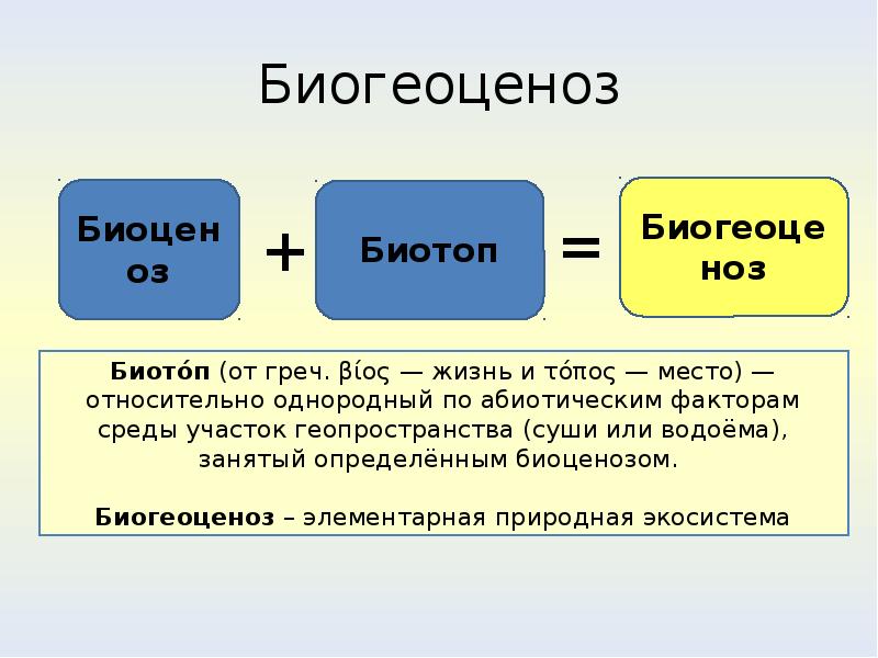 Тема содержит