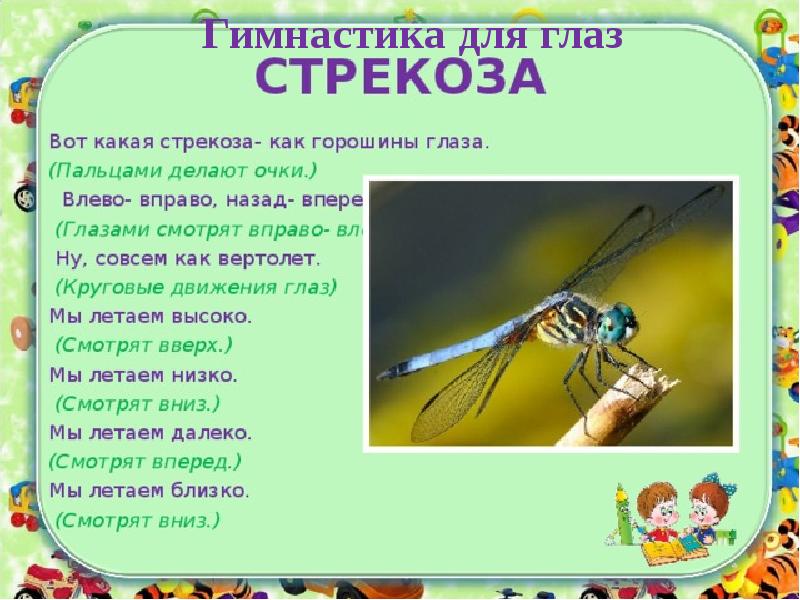 Текст стрекоза. Стих про стрекозу. Детям о стрекозе для дошкольников. Физминутка Стрекоза. Загадка про стрекозу.