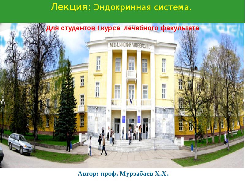 Проект для студентов 1 курса