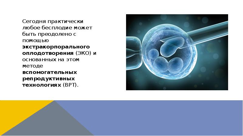 Сегодня практически любое бесплодие может быть преодолено с помощью экстракорпорального оплодотворения Сегодня практически любое бесплодие может быть преодолено с помощью экстракорпорального оплодотворения