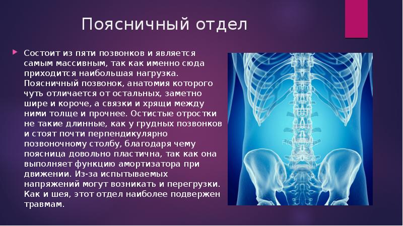 Топографическая анатомия позвоночного столба презентация