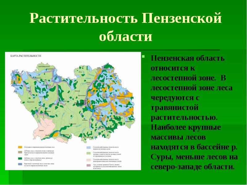 Почвенная карта пензенской области