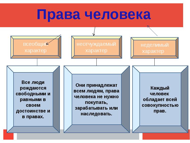 Проект человек и право