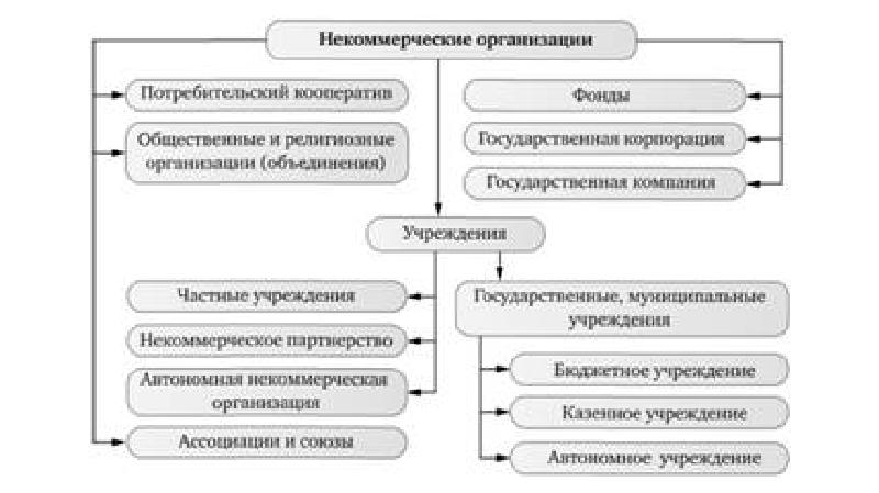 Структура некоммерческой организации схема