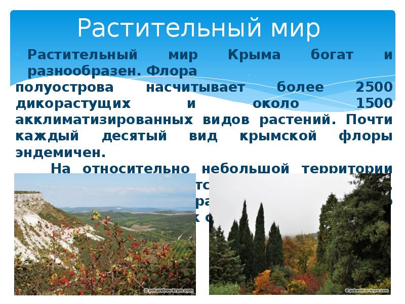 Природа крыма 8 класс