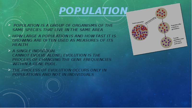 population &nbsp;population&nbsp;is a group of organisms of the same species that