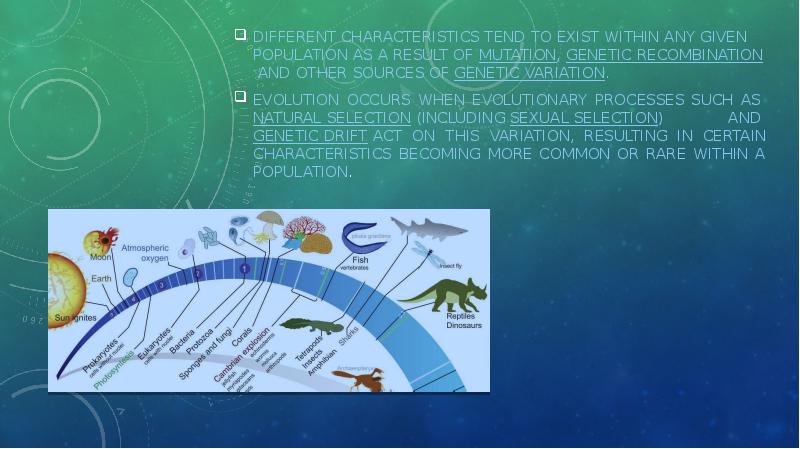 Different characteristics tend to exist within any given population as a