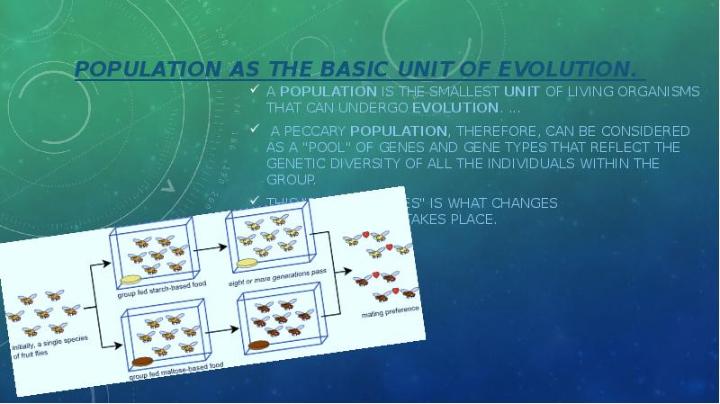 POPULATION AS THE BASIC UNIT OF EVOLUTION.   A&nbsp;population&nbsp;is the