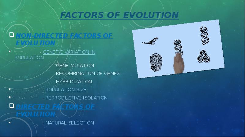 FACTORS OF EVOLUTION NON-DIRECTED FACTORS OF EVOLUTION    