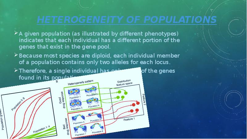 Heterogeneity of populations A given population (as illustrated by different phenotypes)