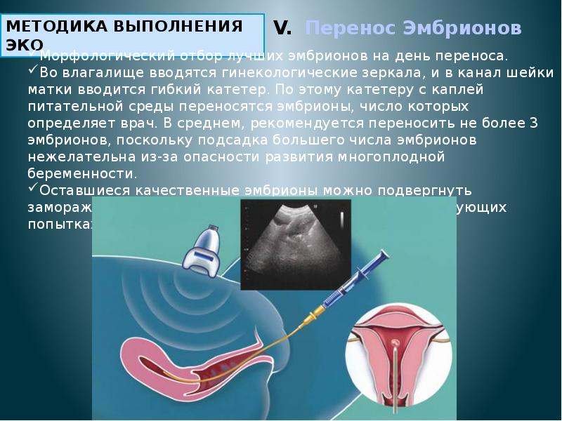 Презентация на тему оплодотворение