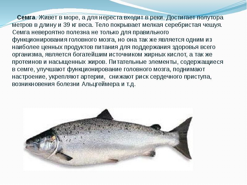 Технологии получения и обработки рыбы и морепродуктов 7 класс презентация