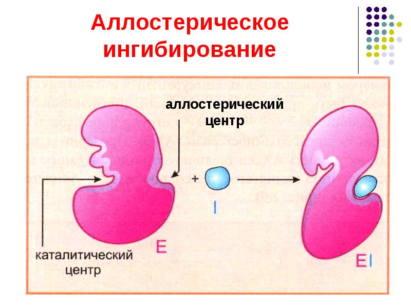 Эффекторы ферментов. Строение аллостерического центра ферментов. Аллостерическое ингибирование ферментов. Структура фермента активный и аллостерический центр. Схема действия аллостерического фермента.