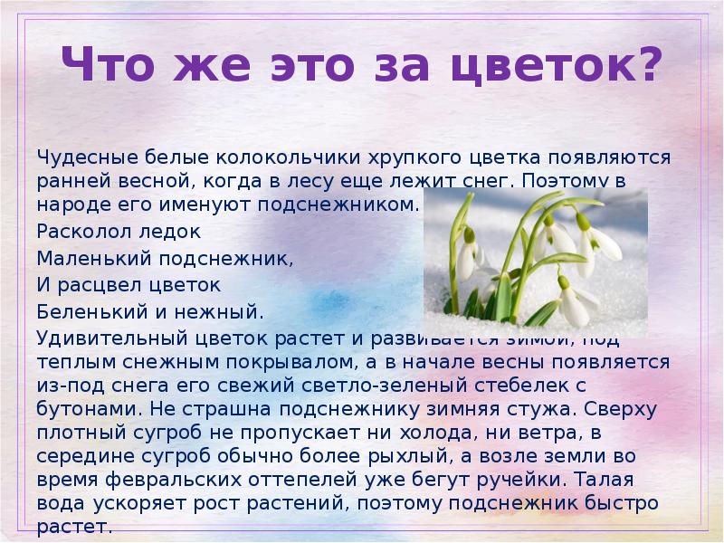 Как появляются цветы