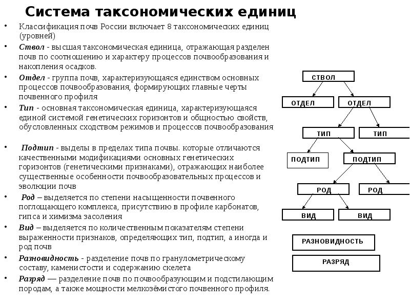 Закономерности география 7 класс