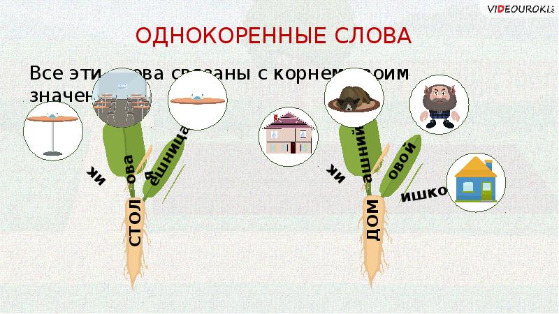 По рисункам постарайтесь определить различия в значении однокоренных слов палатный палаточный