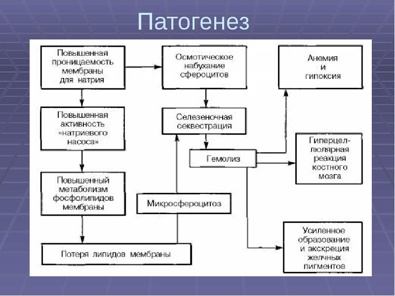 Гемолитические анемии презентация госпитальная терапия