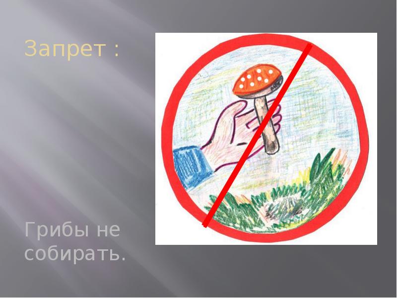 Знак нельзя собирать грибы. Знак запрета сбора грибов. Запрещающие знаки про грибы. Запрещается собирать грибы. Запрет на сбор грибов.