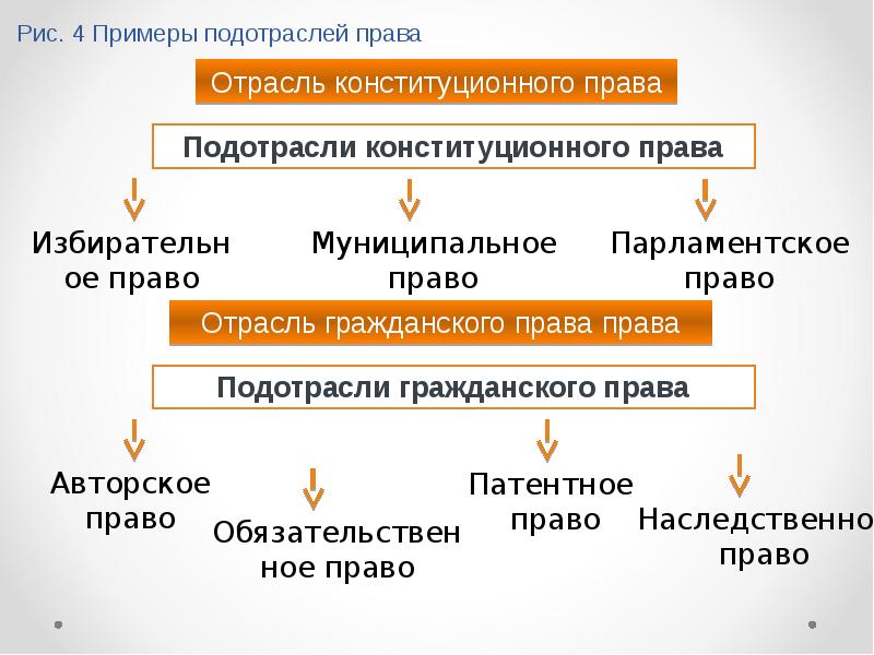 Презентация отрасли и институты права