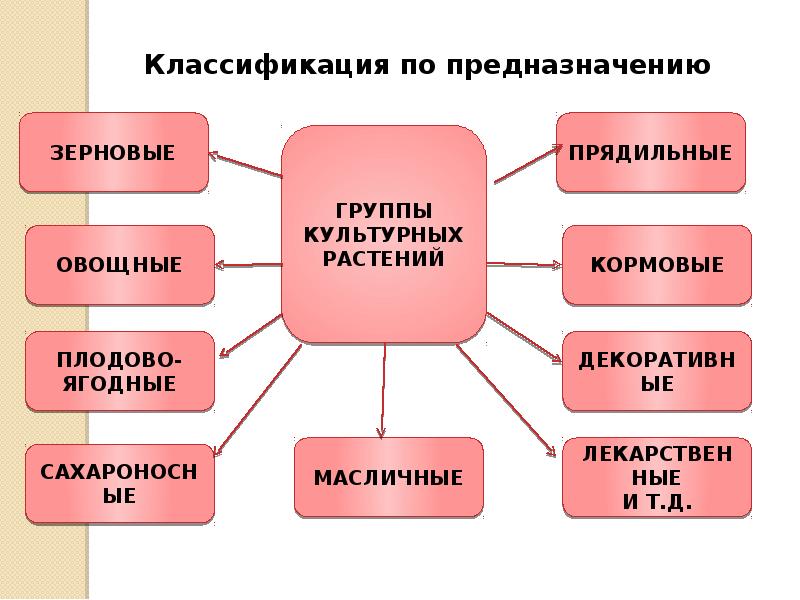 Классификация культурных растений презентация