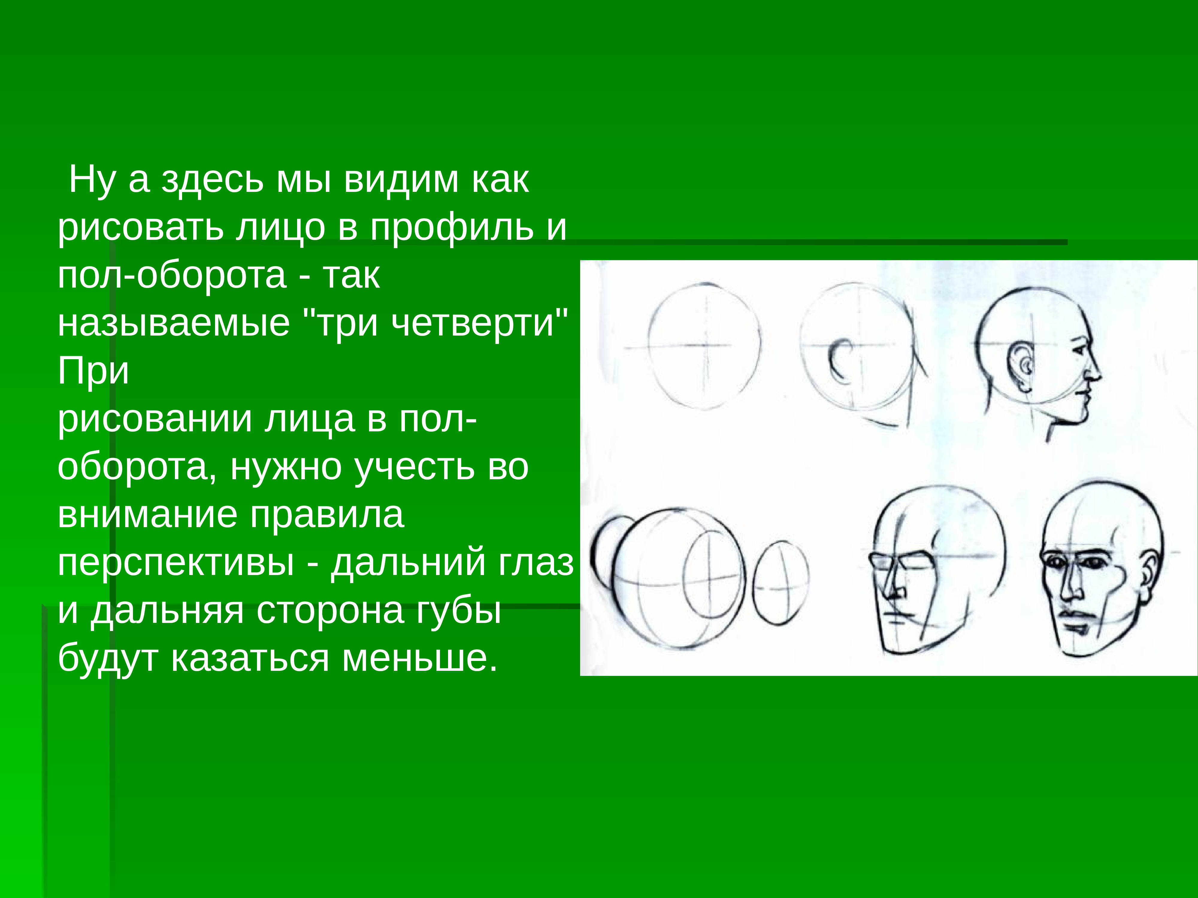 В полоборота как писать. Как нарисовать лицо. Как рисовать человека. Рисование лица в полоборота. Что такое три четверти в рисовании.