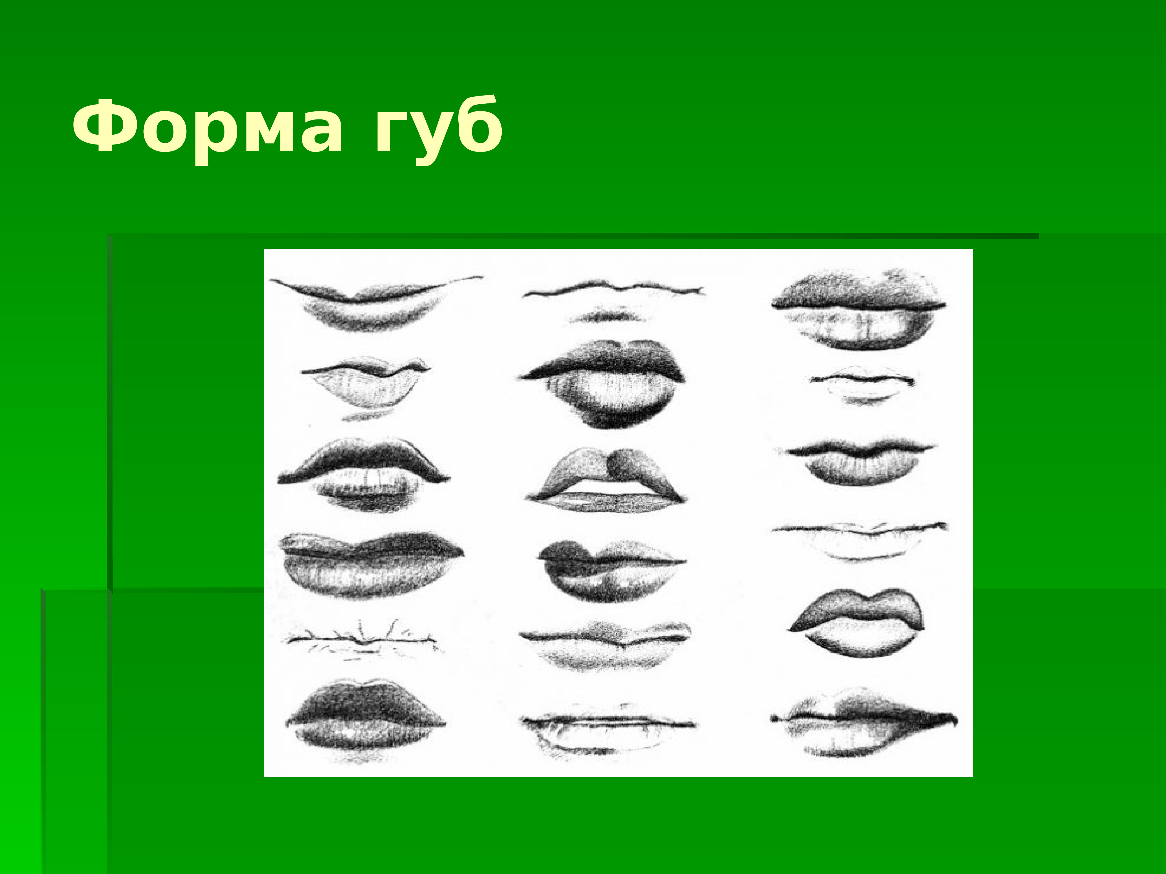 Какие бывают губы. Формы губ. Форма губ и характер. Форма губ физиогномика. Форма губ криминалистика.