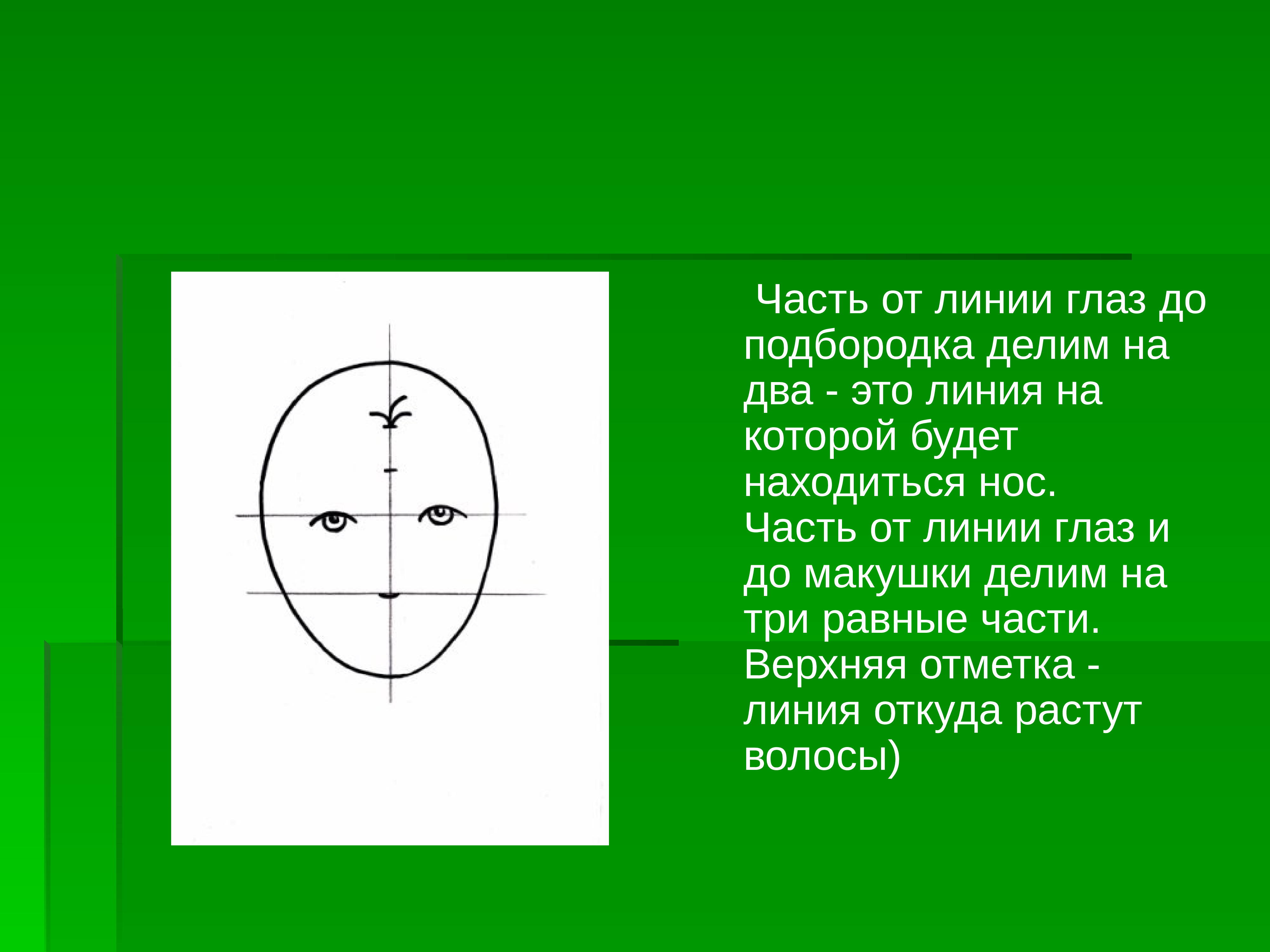 Будет находиться. От глаз до макушки. Линия глаз взрослого человека располагается на. Расстояние от макушки до глаз. Части линии.