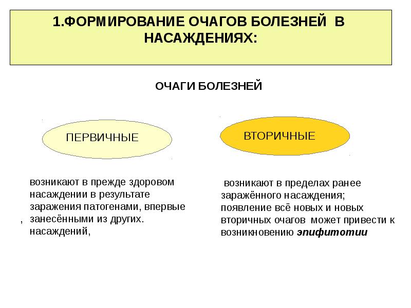 Очаг болезни. Формирование очага заболевания. Первичное и вторичное заболевание в очаге. Первичный и вторичный очаг.