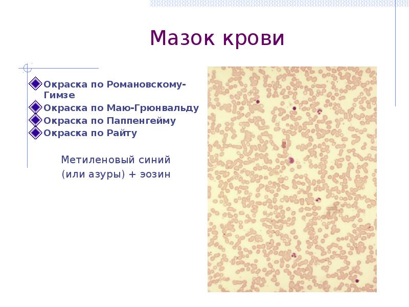 Окраска мазков крови различными методами презентация