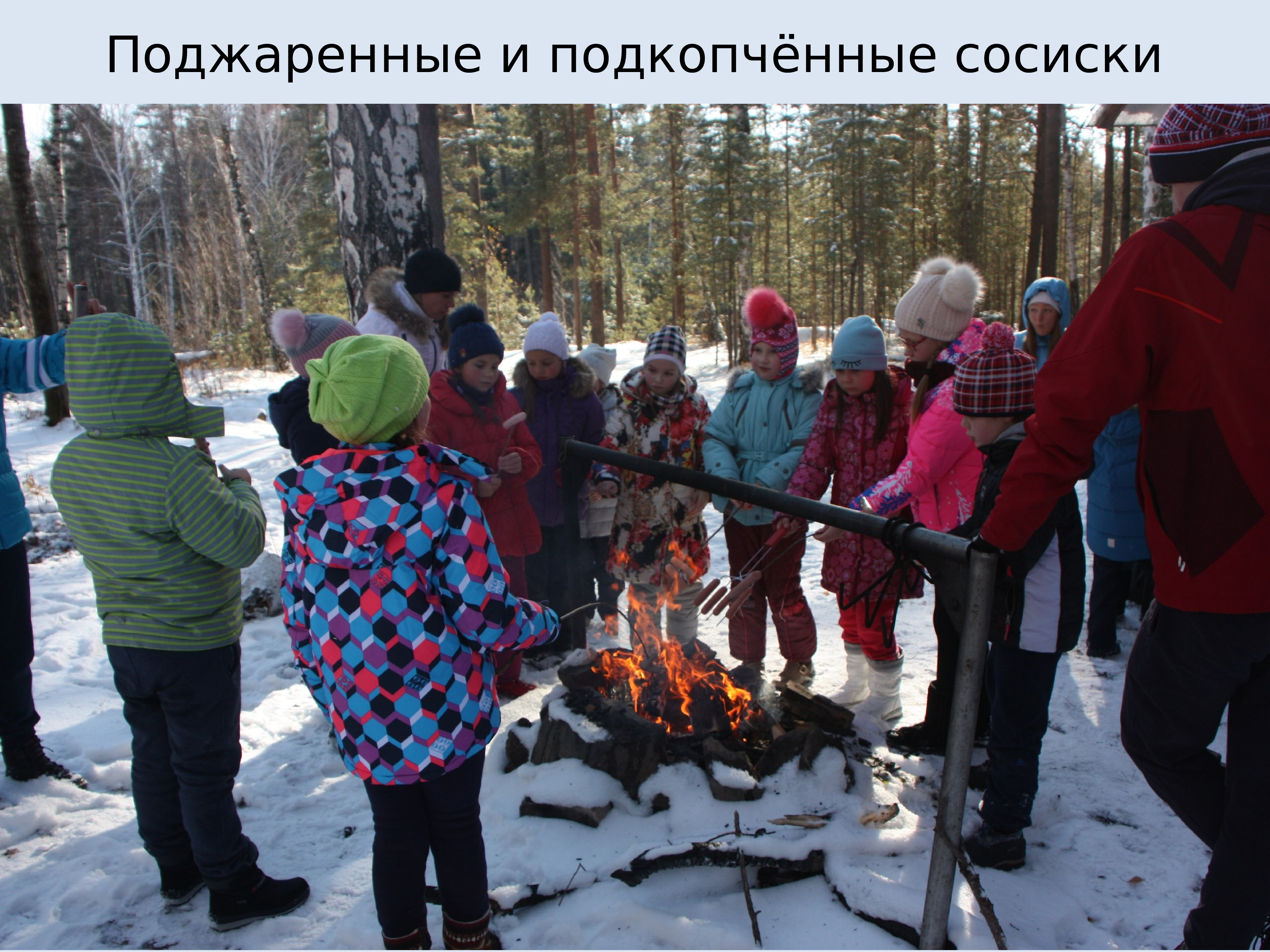 Зимняя экскурсия обитатели местности Урала