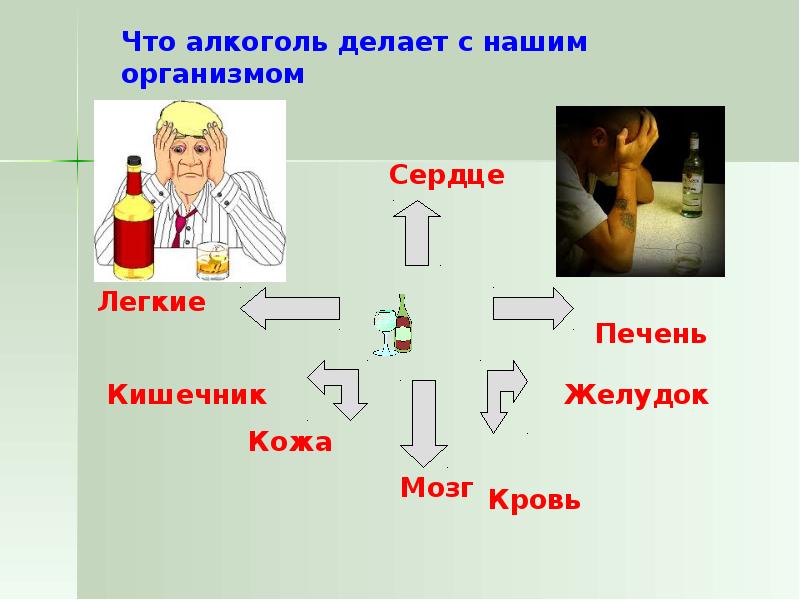 Сделать выпил. Что делает спирт с кровью. Что делает алкоголь с человеком по пунктам.