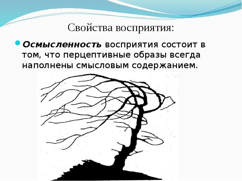 Пестрота дробность и цельность изображения причины того и другого