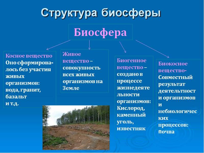 Биосфера по вернадскому презентация