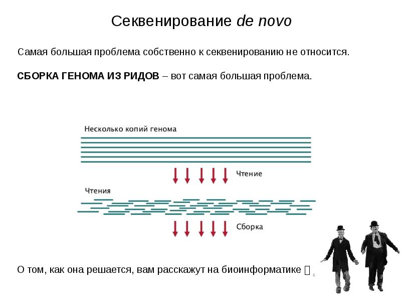 Секвенирование москва. Секвенирование. Секвенирование генов. Сборка генома de novo. Секвенирование de novo.