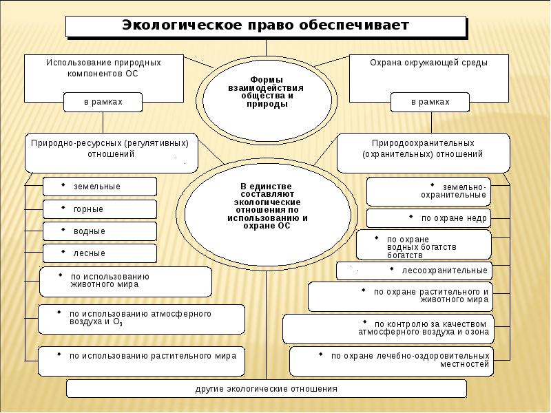 План по экологическому праву