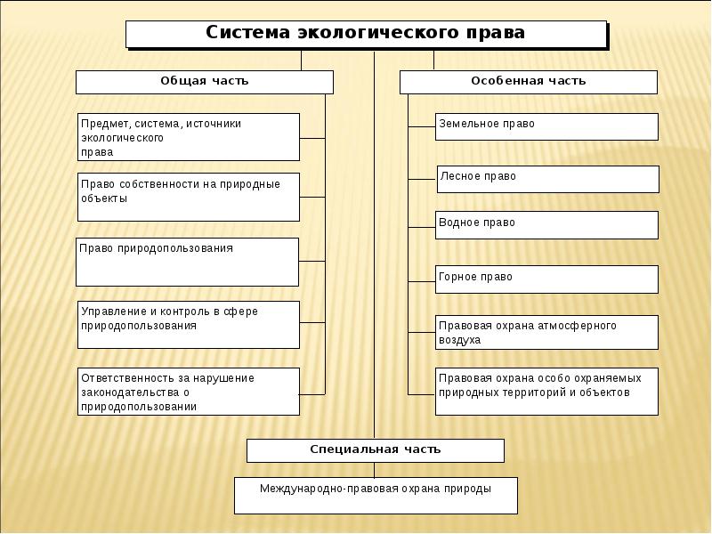 Схема виды объектов экологического права