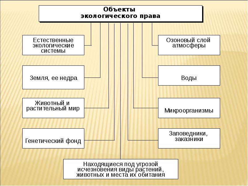 Система экологического права схема