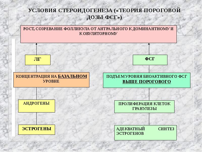 Стероидогенез. Схема стероидогенеза. Блокаторы стероидогенеза. Схема стероидогенеза в надпочечниках. Стероидогенез регуляция менструационного цикла.