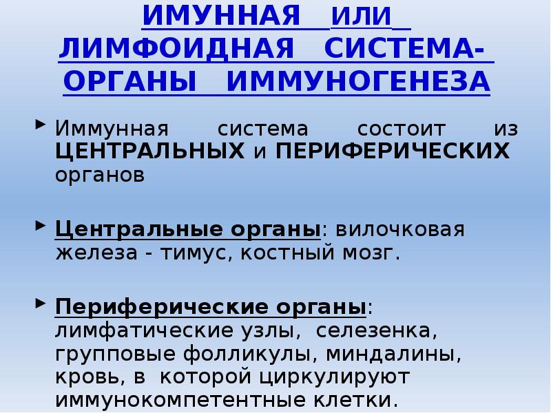 Органы кроветворения и иммуногенеза. Центральные и периферические органы иммуногенеза. Чем образована строма органов кроветворения и иммуногенеза. Иммунопоэз и иммуногенез. Органы кроветворения и иммуногенеза.