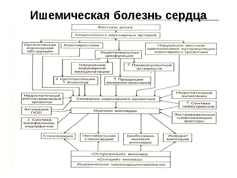 Коронарная недостаточность патофизиология презентация