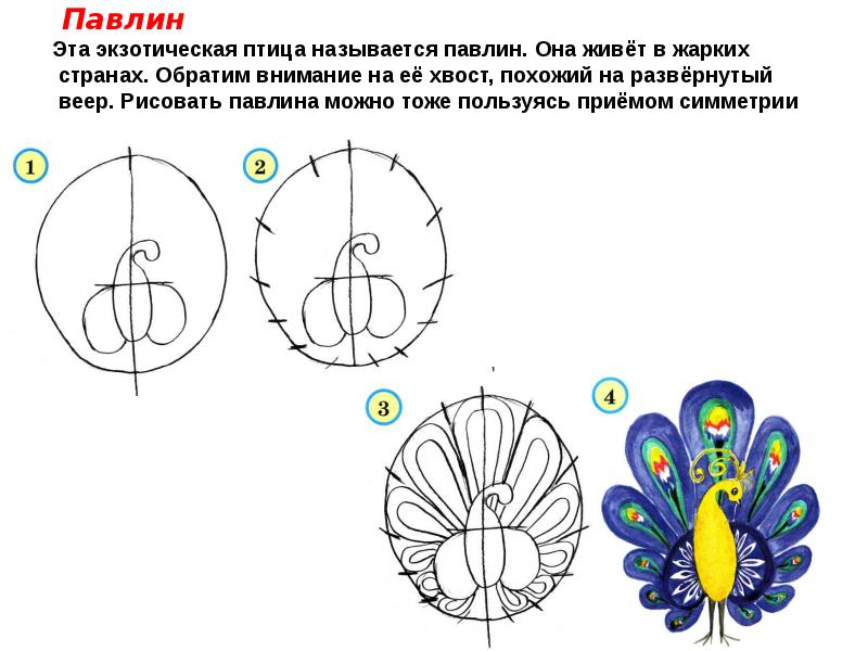 Рисунок пропорции выражают характер