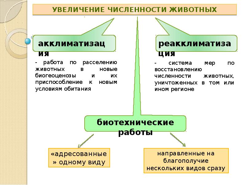 Презентация рациональное использование и охрана животных