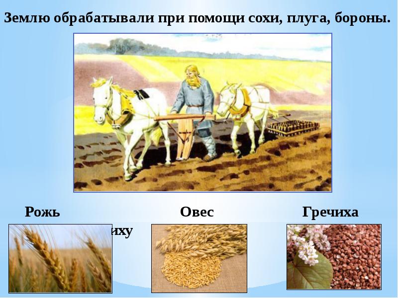 Земледелие картинки для презентации