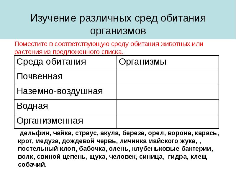 Биология 5 класс презентация среда обитания организмов