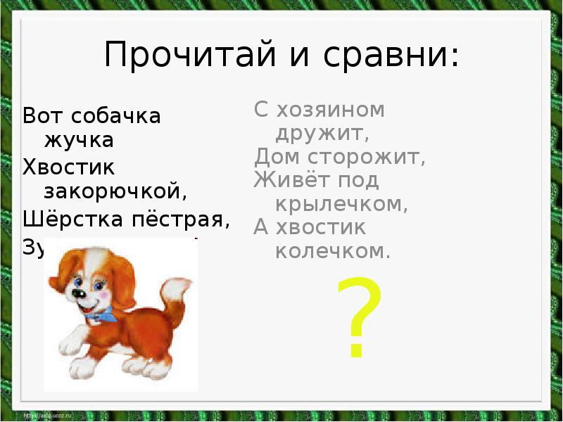 Стишок про собаку для детей. Вот собачка жучка. Стих про жучку собаку. Собачка жучка хвостик. Вот собачка жучка хвостик закорючка текст.