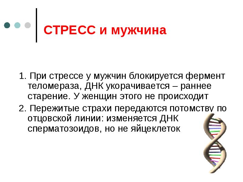 фермент теломераза функции. механизм теломеразной активности. при каком заболевании активируется фермент теломераза. строение и функции теломер и теломеразы. теломеры строение.
