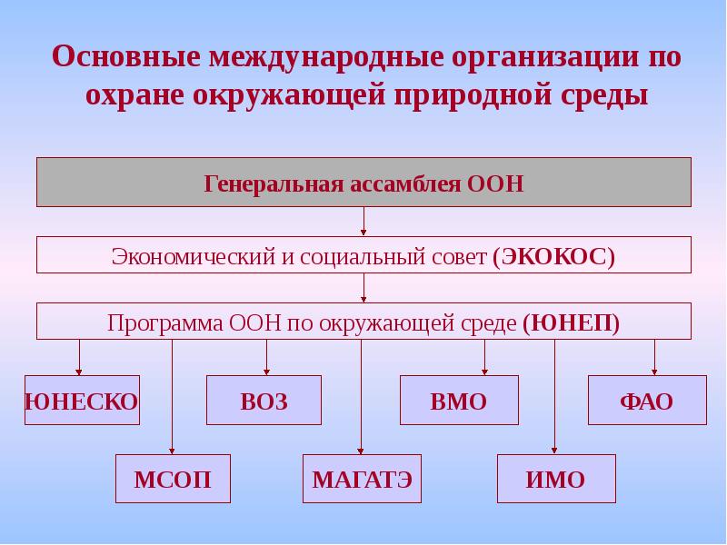 Международные и национальные экологические программы и проекты