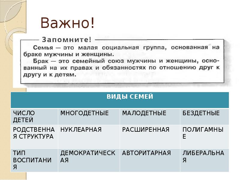 Презентация на тему типы семей